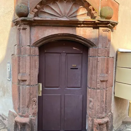 Logement De Charme Dans Un Monument Historique Date De 1544, Au Centre De Hagenau Exterior foto