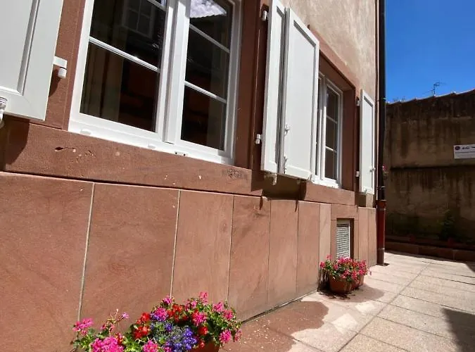 Logement De Charme Dans Un Monument Historique Date De 1544, Au Centre De Haguenau